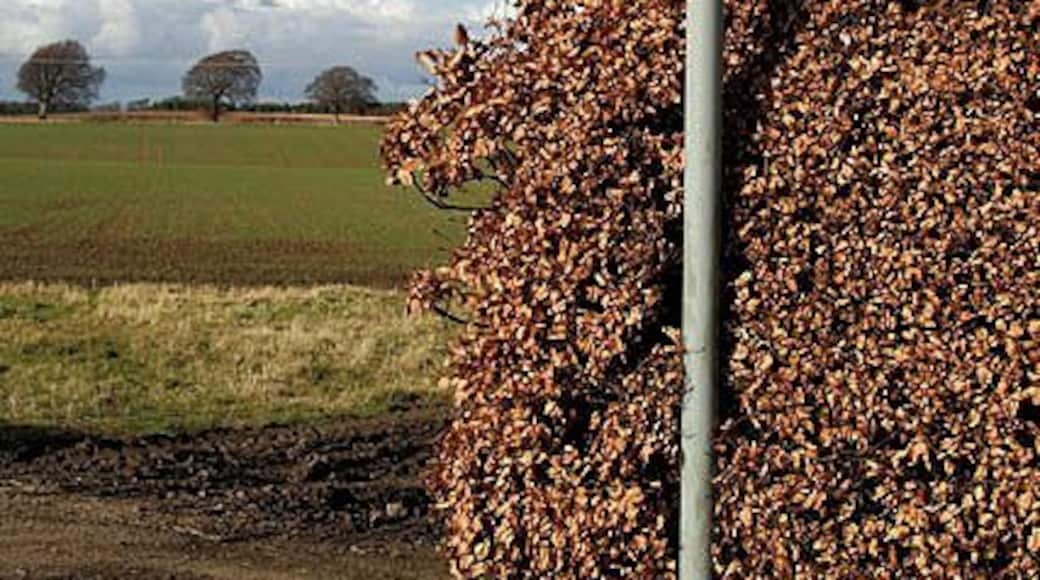 A public footpath sign at Humbie A Scottish Rights of Way and Access Society sign giving directions for a path route to Costerton.
