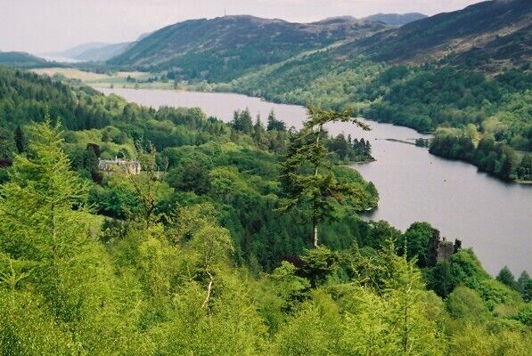 A lake surrounded by dense forest and hills.