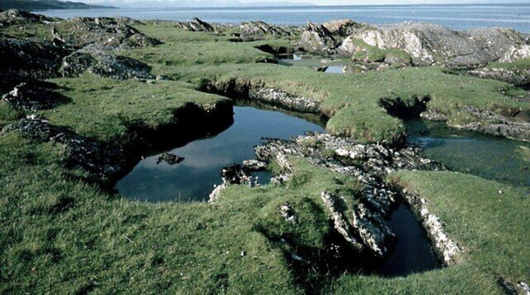 Saline pools on the Colonsay coast south of Rubha Dubh There is plenty of variety in NR3991. Shells aplenty on the rocky beach and the spring turf inland.
