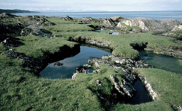 A coastal landscape with grassy terrain, rocky outcrops, and a small body of water.