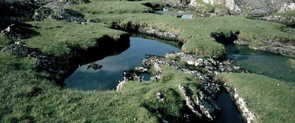 A coastal landscape with grassy terrain, rocky outcrops, and a small body of water.