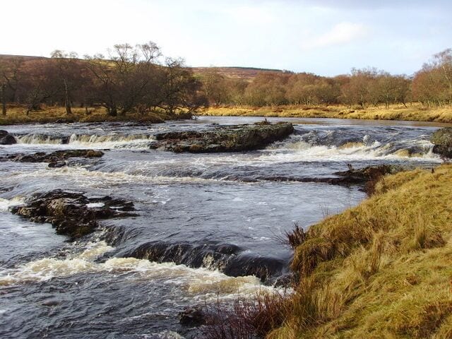 A river with rapids, surrounded by grassy banks and trees.