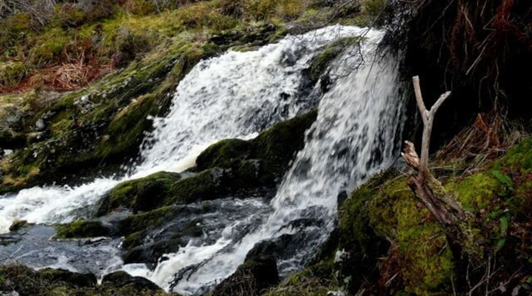 A small fall on the Allt Dhail Bhaich This sheltered little dell makes a lovely picnic spot