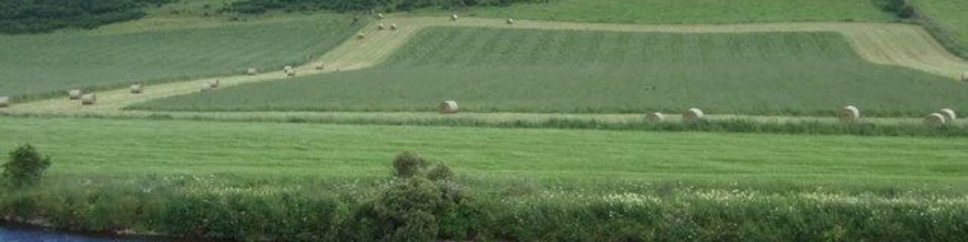 View across the Don towards Knowehead