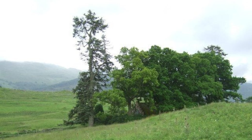 Chapel at Morenish. The rear view of this 235378