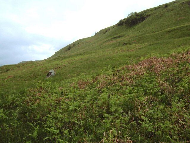 Hillside near Tomocrocher Bracken covered hillside on the slopes leading up to Ben Lawers National Nature Reserve. Rough grazing for occasional sheep on the higher ground.