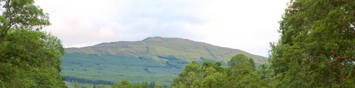 Killin which includes forests and a lake or waterhole