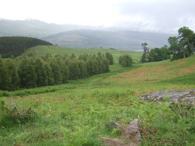 Hillside near Mornish Bracken covered joggy hillside on the slopes leading down from Ben Lawers National Nature Reserve. Rough grazing for sheep.