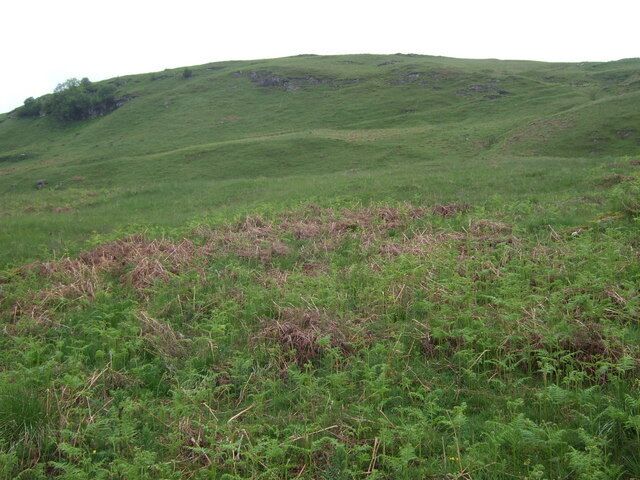 Hillside near Tomocrocher Ferns and grassy bogland leading up to Ben Lawers National Nature Reserve. Rough grazing for occasional sheep on the higher ground.