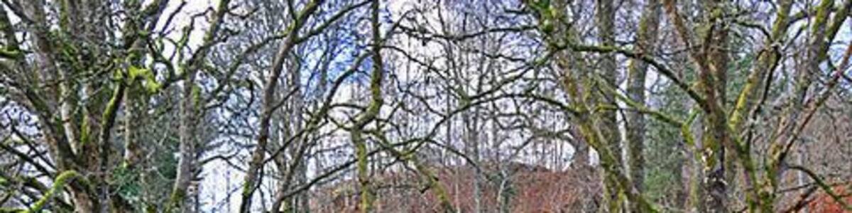 Waterfall on the Allt Tir Artair