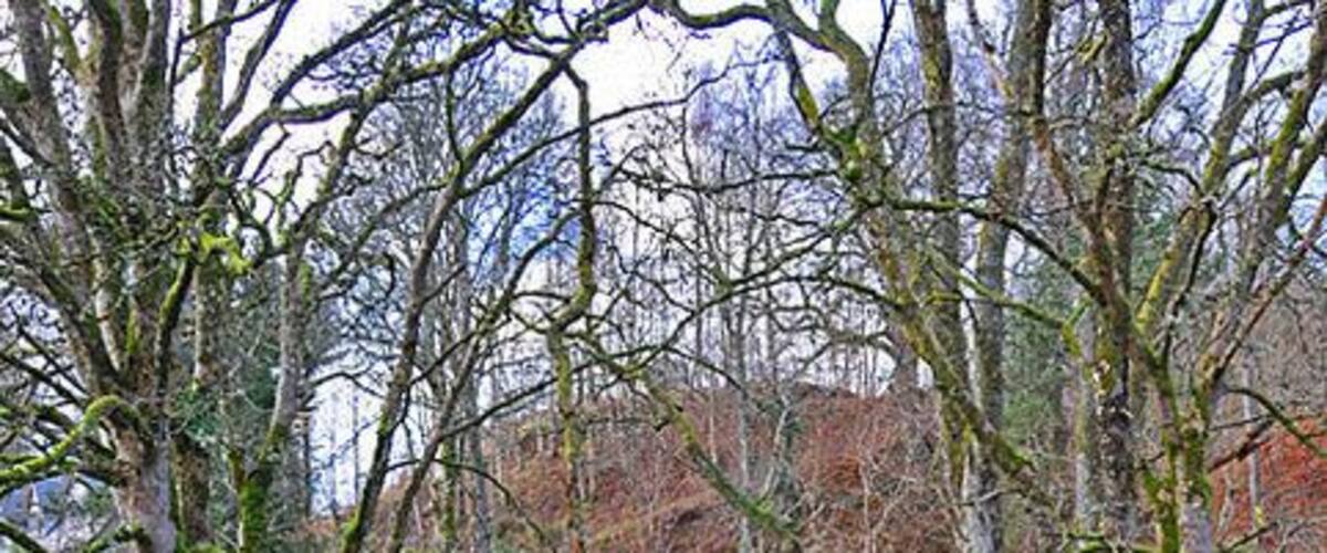 Waterfall on the Allt Tir Artair