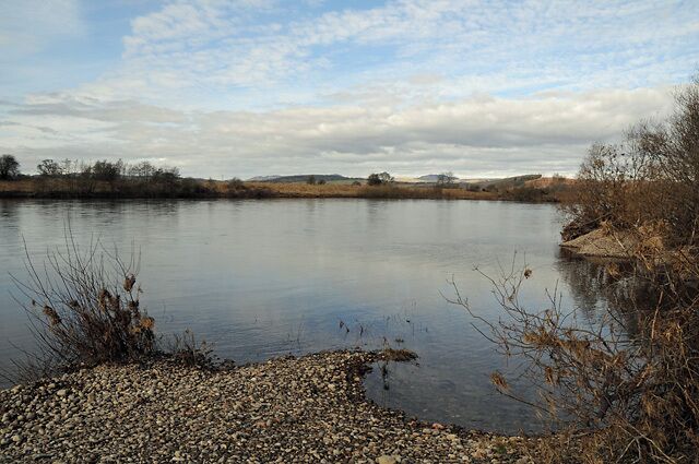 A calm river with pebbly shore and sparse vegetation.
