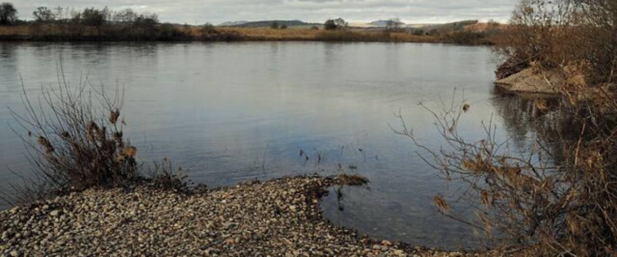 A calm river with pebbly shore and sparse vegetation.