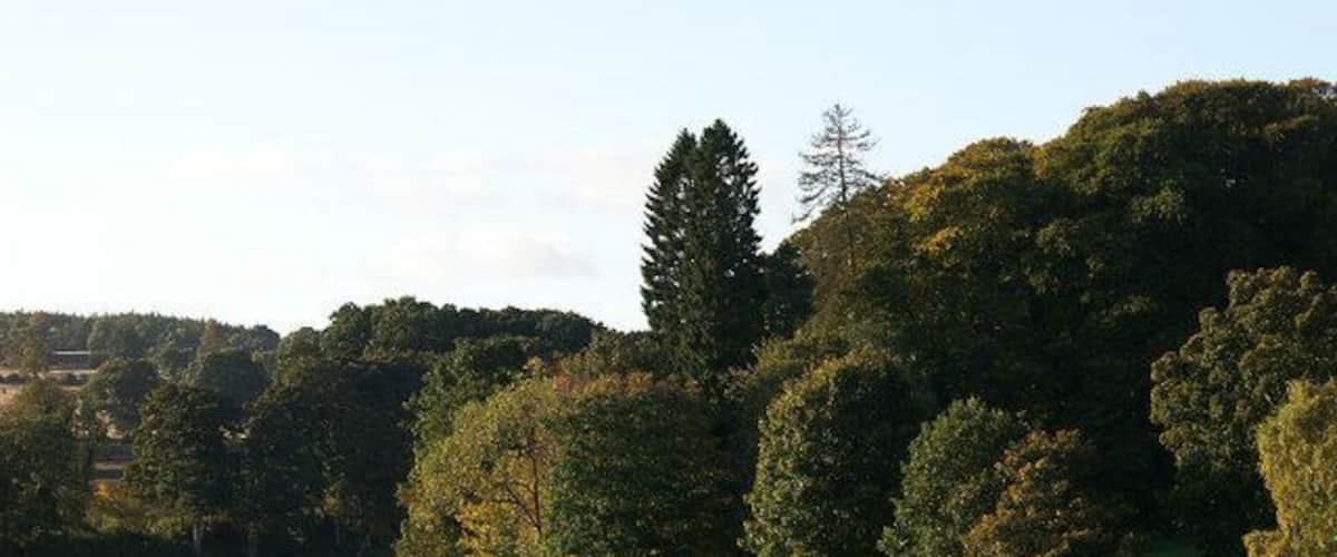 Boats on the shore of the Tay, Kinclaven