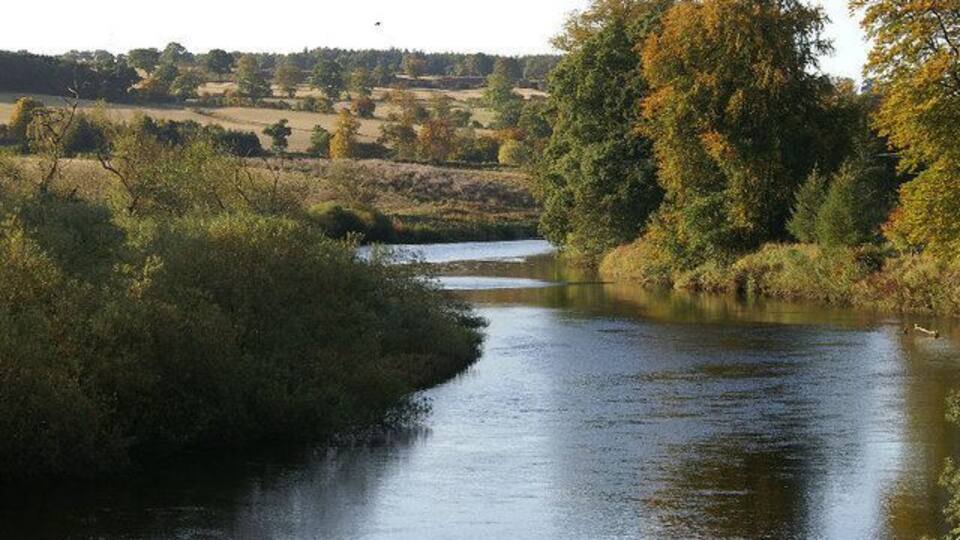 A river flowing through a rural landscape with trees and open fields.