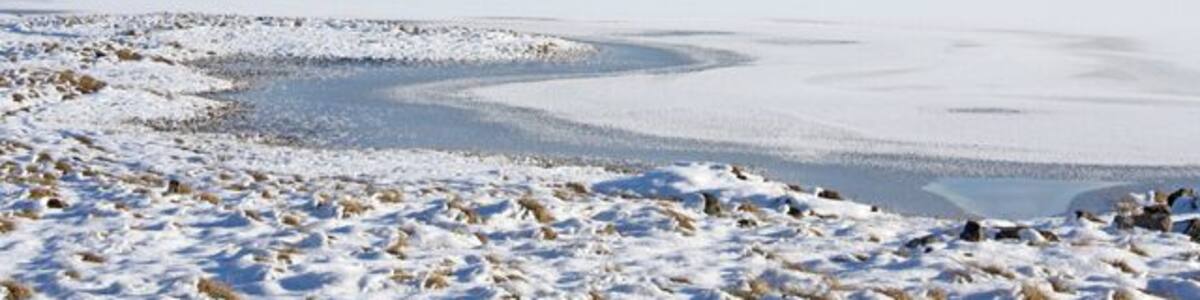 Loch Insh and the Glenfeshie Hills Looking across the southwestern end of the frozen loch towards the hills east of Glen Feshie.