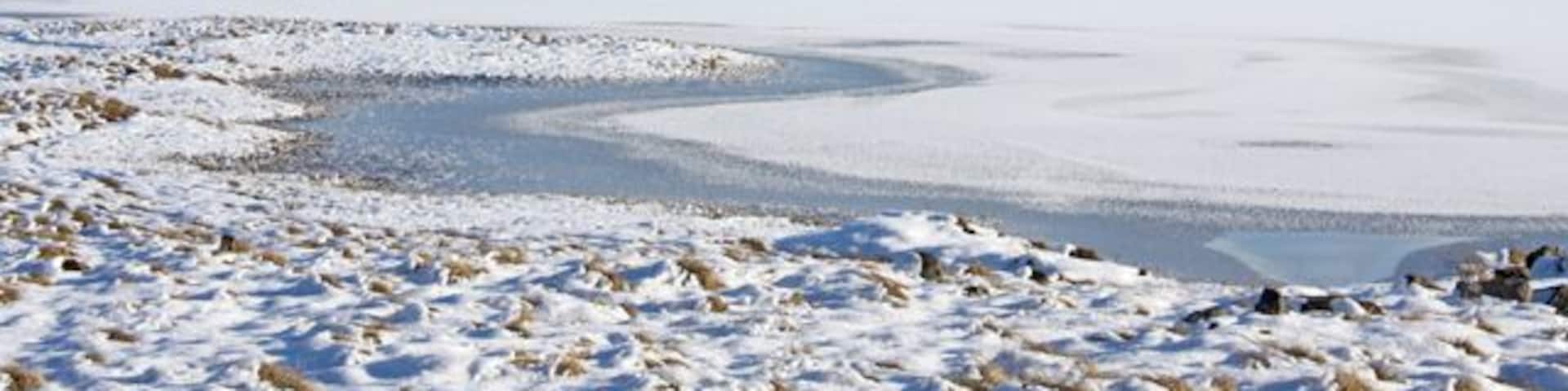 Loch Insh and the Glenfeshie Hills Looking across the southwestern end of the frozen loch towards the hills east of Glen Feshie.