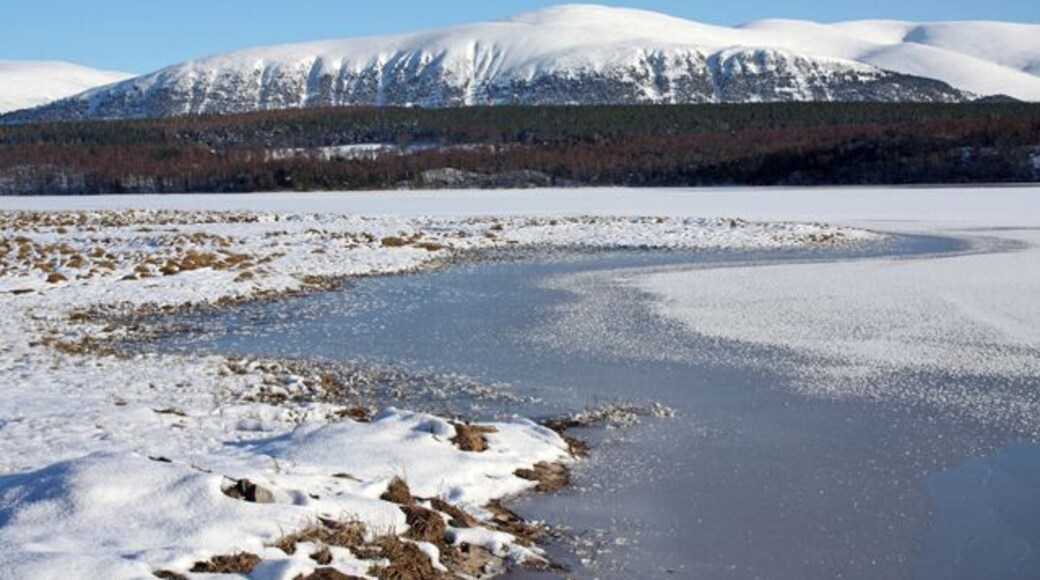 Loch Insh Looking across the southwestern end of the loch towards Creag Mhigeachaidh, Glen Feshie.