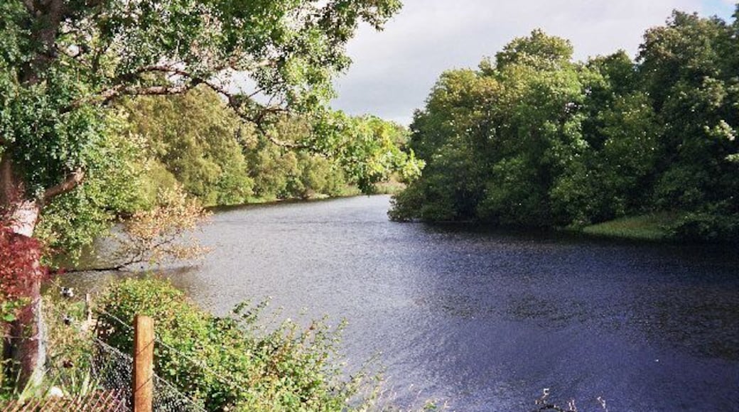 The River Spey at Kincraig