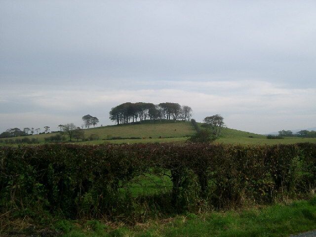 A grassy hill with trees and a hedge in the foreground.