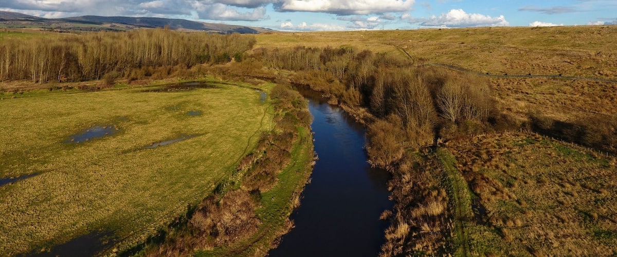 A river winding through a grassy landscape with trees and hills in the background.
