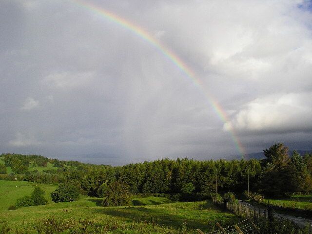 Sunshine and Showers. Fields at Bogside farm lit by the early morning sun, the woodland is Damhead plantation. The picture was taken looking northwest across the Clyde from the junction of Old Greenock Road and Bogside Farm.