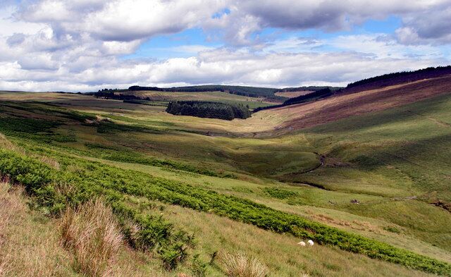 Rolling hills, a valley, and a forested area.