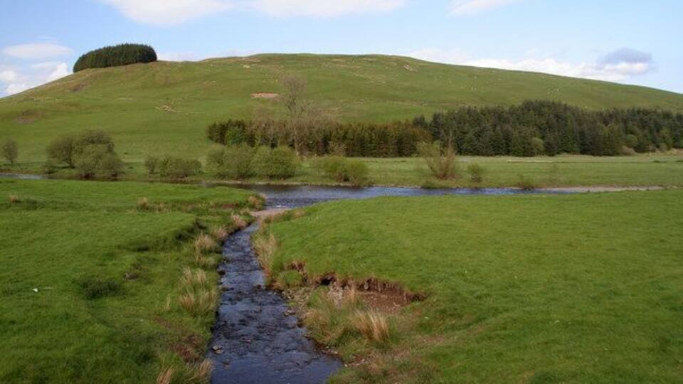 A grassy hillside with a stream running through it.