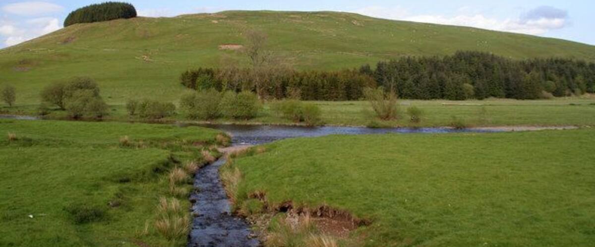 A grassy hillside with a stream running through it.