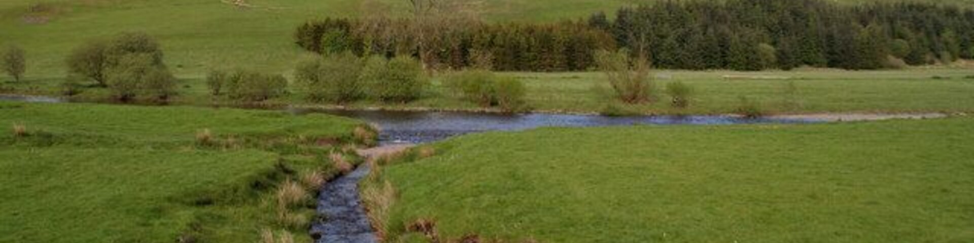 A grassy hillside with a stream running through it.