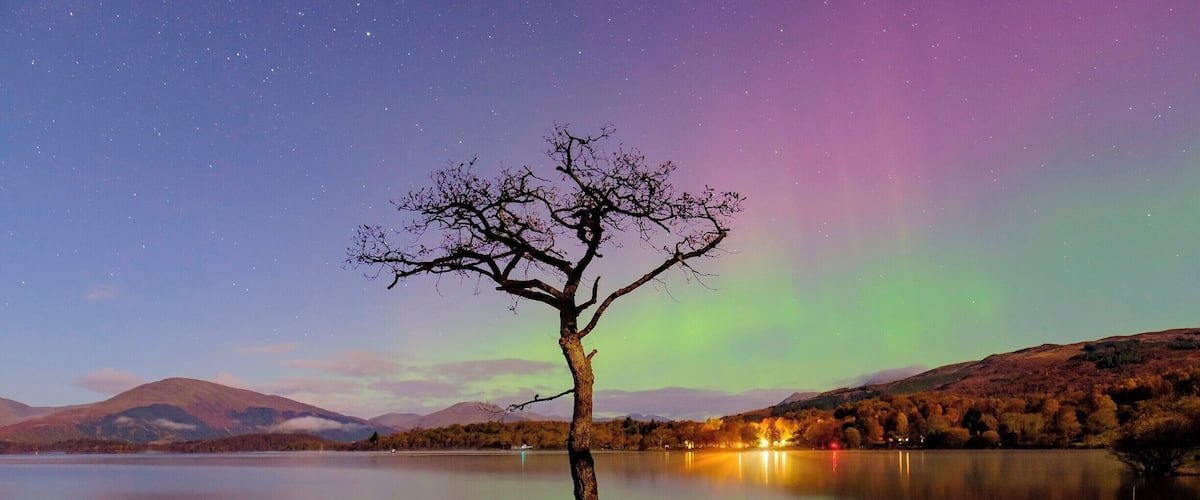 Another one from a favourite location on the shores of Loch Lomond. The clear night, and possibility of North Lights, meant that a few of us were gathered near this tree. The Northern Lights only showed up for a few minutes, but it was well worth it!
#BvSAstro