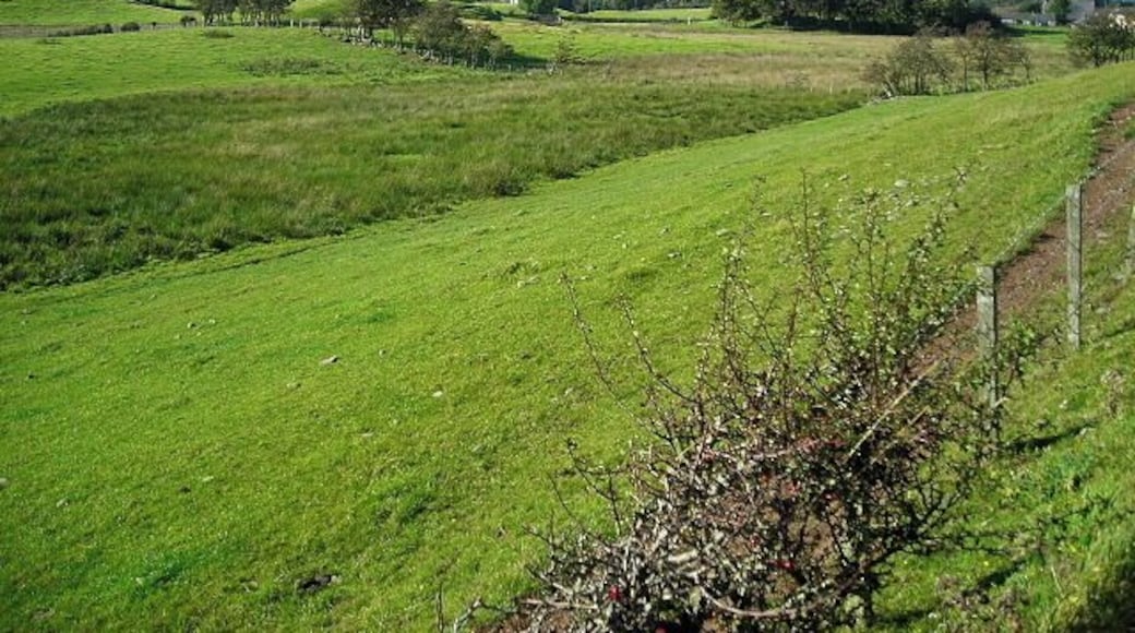 Fields South of Dalton