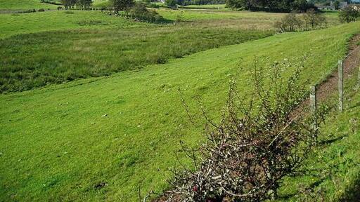 Fields South of Dalton