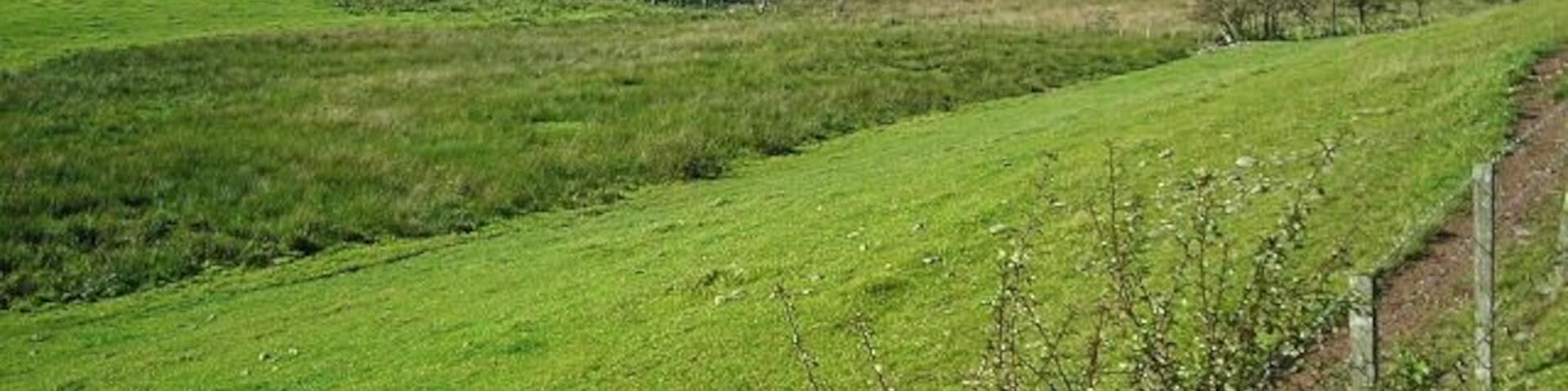 Fields South of Dalton