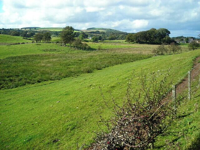 A green field with a fence, trees, and hills in the background.