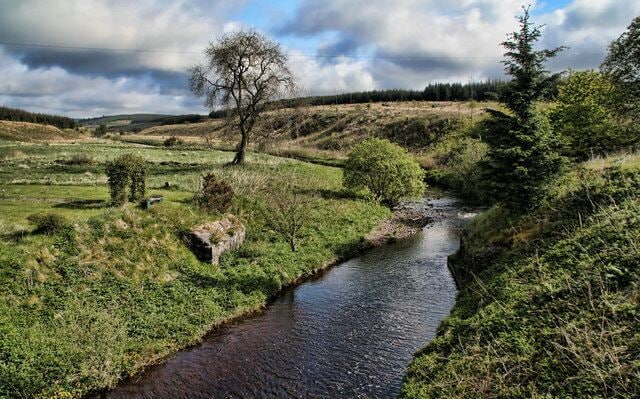 A river meandering through a grassy landscape with trees and hills in the background.