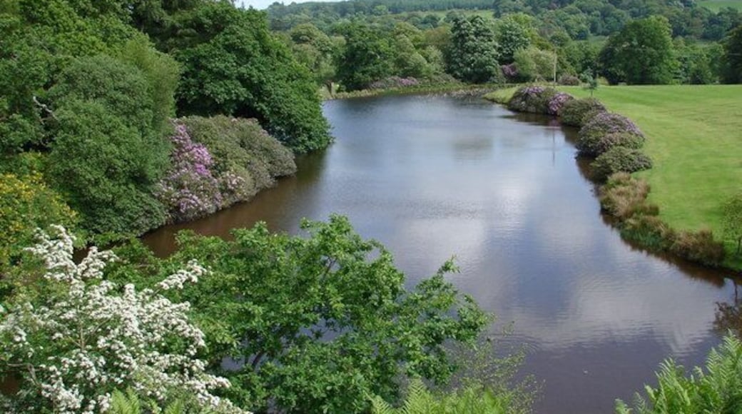 Raehills Lochan North North end of the picturesque lochan (or lake) situated in grounds below Raehills House frontage.