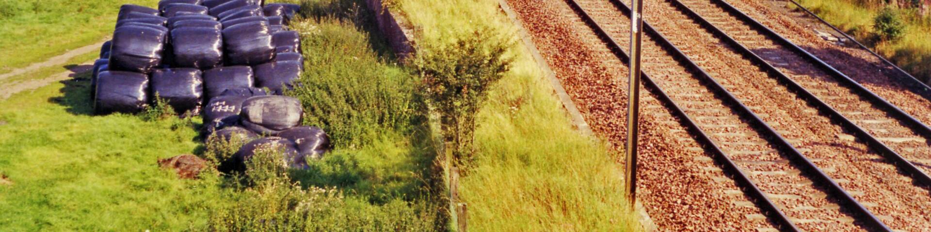 Site of Dinwoodie station, 1991. View northward, towards Beattock, Carstairs and Glasgow etc.: ex-Caledonian Railway section of the WCML up Annandale. The station was closed 13/6/60 to facilitate acceleration of express trains and the route was electrified in 1974