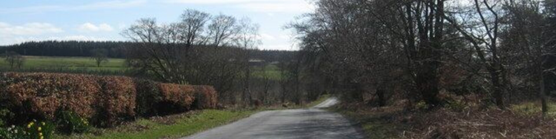 Uma estrada rural ladeada por sebes e árvores sob um céu claro.