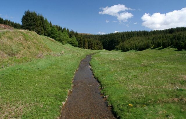 A narrow, winding path through a grassy field with a forest on either side.