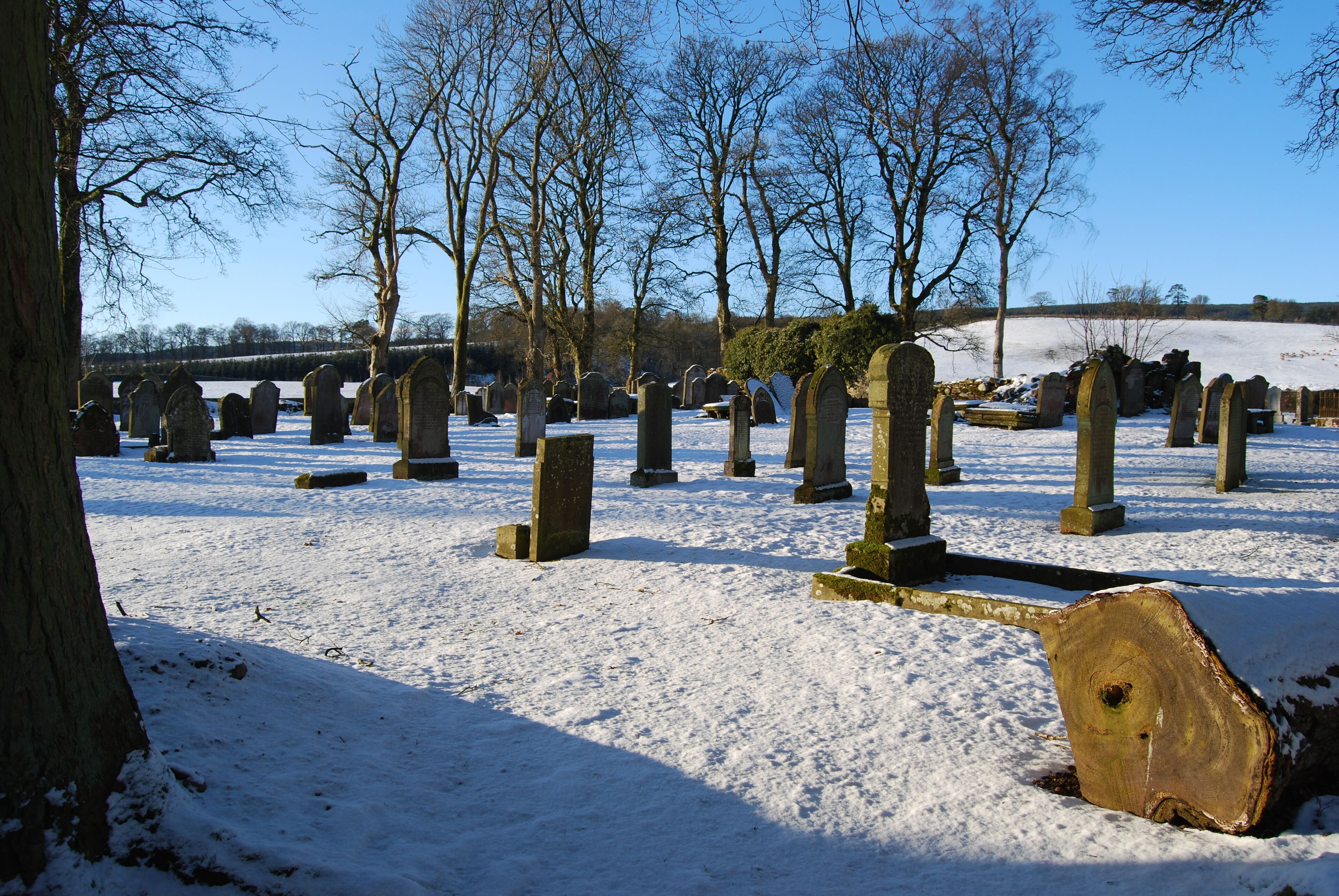 Tree rings and gravestones Grvald churchyard