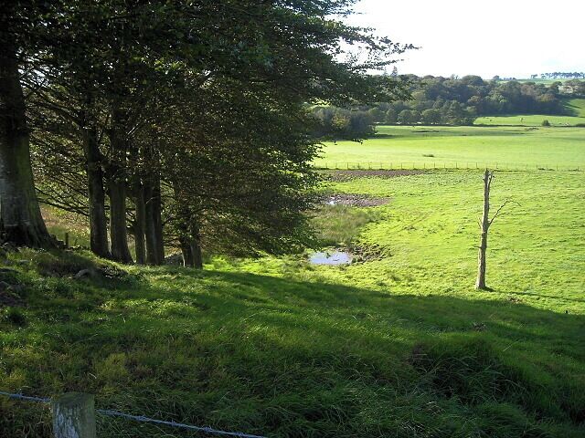 Trees and Fields South of Dalton