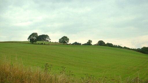 Barnsdale Hill. Looking northish.