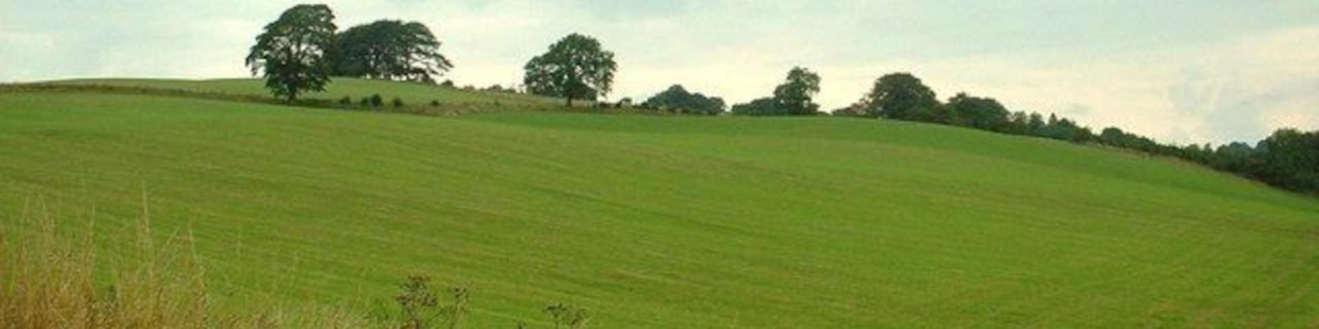 Barnsdale Hill. Looking northish.