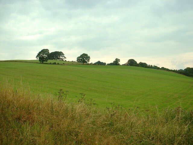 A green field with trees in the distance.