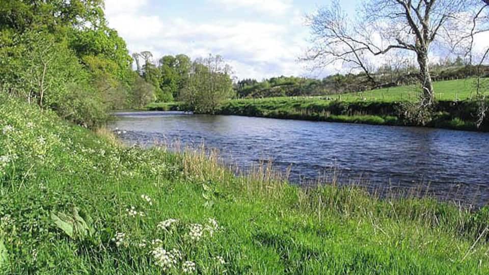 A river flowing through a lush green landscape with trees and grassy banks.