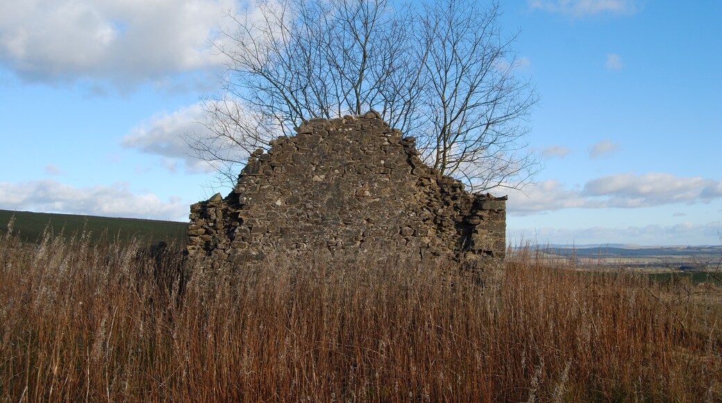Gable end of ruined Auchenskew Cottage with tree inside