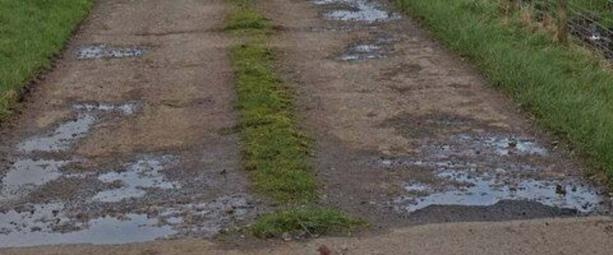 A rural path with puddles, surrounded by green fields and a fence.