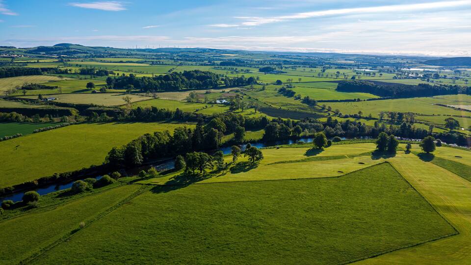A lush green valley with a river, rolling hills, and scattered trees.