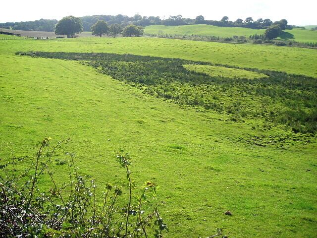 Fields South of Dalton